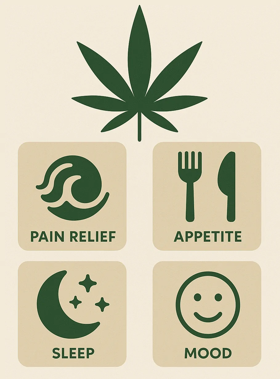 info benefits